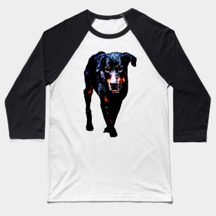 rottweiler Baseball T-Shirt